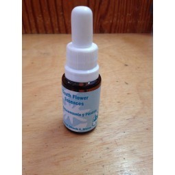 DESCONSUELO Y PERDIDA