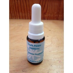 SISTEMA CIRCULATORIO