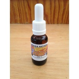 PS1- Corona de Cristo