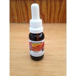 FS6 - Manto de Cielo