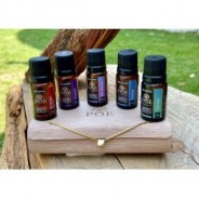 SET ACEITES POE