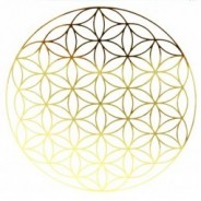 ADHESIVO FLOR DE VIDA ORO