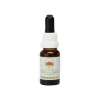 Calophyllum