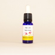 Esencia de Espino Blanco 15ml