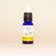 Esencia de Maíz 15ml