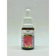 Esencia de Dondiego de Noche 15ml