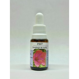 Esencia de Dondiego de Noche 15ml