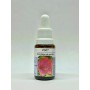 Esencia de Dondiego de Noche 15ml
