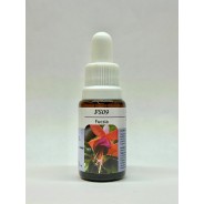 Esencia de Fucsia 15ml