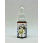 Esencia de Parnasia - Hepática Blanca 15ml