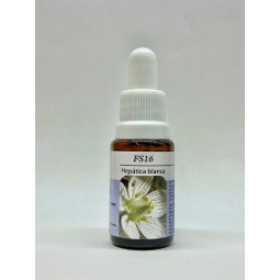 Esencia de Parnasia - Hepática Blanca 15ml