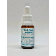 MATERNIDAD NUEVE LUNAS