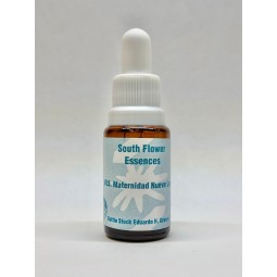 MATERNIDAD NUEVE LUNAS