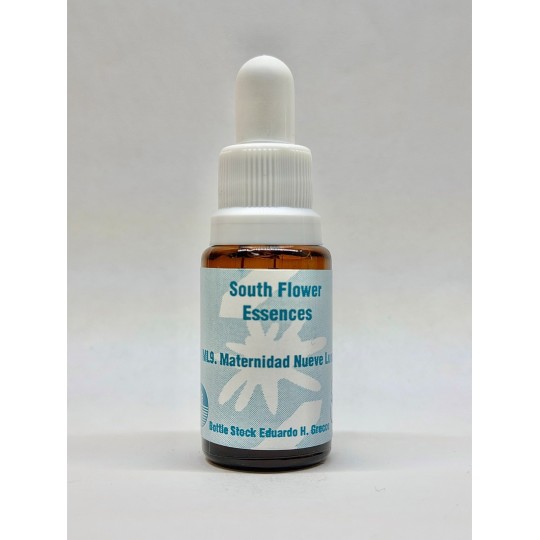 MATERNIDAD NUEVE LUNAS