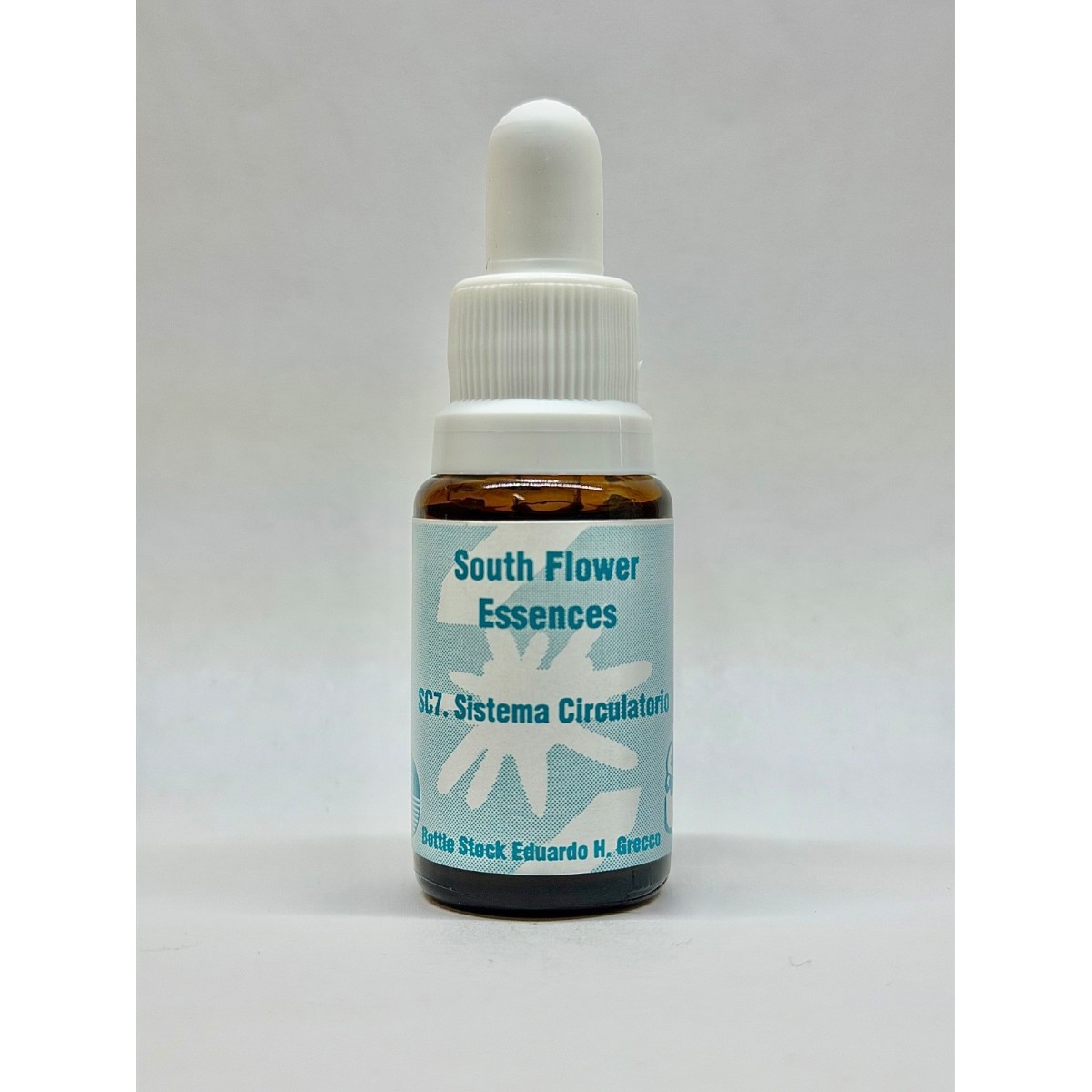 SISTEMA CIRCULATORIO