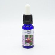 Esencia de Orquídea Canal 15ml