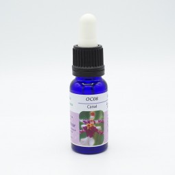Esencia de Orquídea Canal 15ml