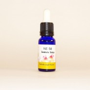 Esencia de Zanahoria Salvaje 15ml