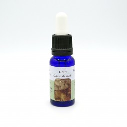 Esencia de Cuarzo Ahumado 15ml