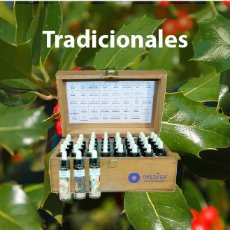 Tradicionales (Método Bach) image