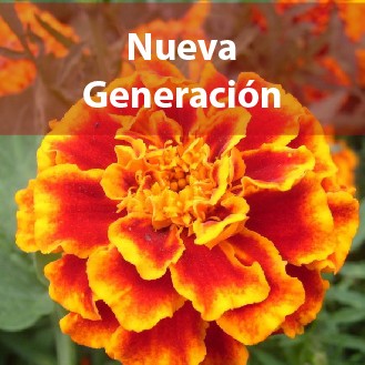 Nueva Generación image