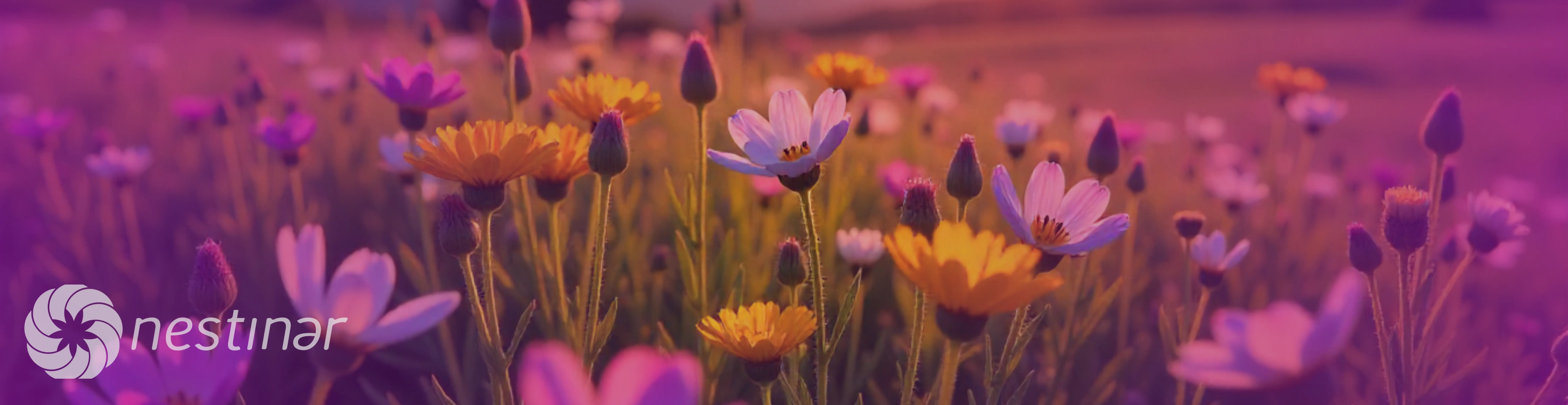 Flores Silvestres image