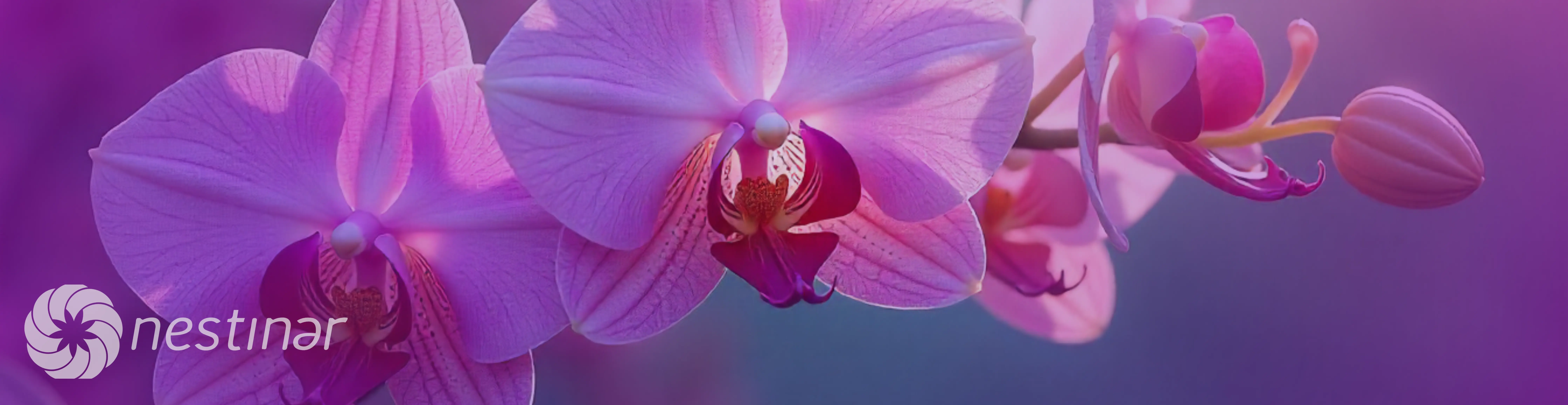 Orquídeas Colombianas image